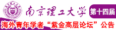 鸡巴插入阴道视频麻豆南京理工大学第十四届海外青年学者紫金论坛诚邀海内外英才！